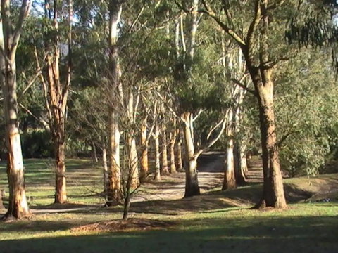 Kangaroo Manor - Darwin Holiday 21