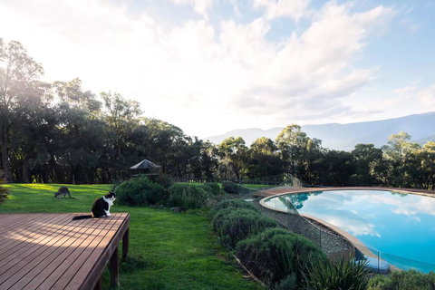 Kangaroo Manor - Darwin Holiday 23