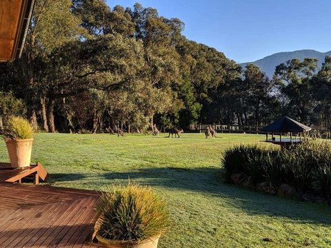 Kangaroo Manor - Darwin Holiday 5