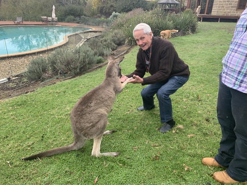Kangaroo Manor - Darwin Holiday 13