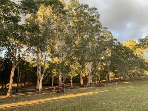 Kangaroo Manor - Darwin Holiday 15