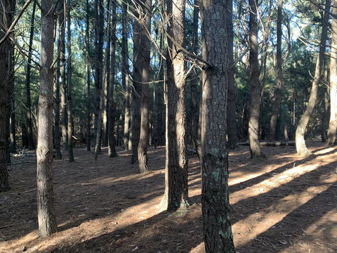 Kangaroo Manor - Darwin Holiday 4