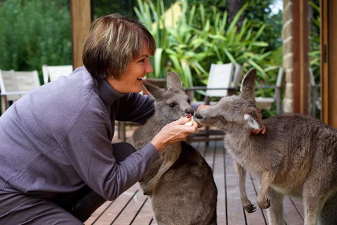 Kangaroo Manor - Darwin Holiday 20