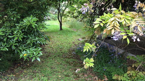 Lorelei Bed & Breakfast - Darwin Holiday 10