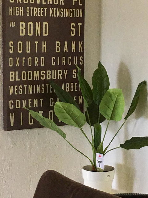 Nest On A Crest - Darwin Holiday 7