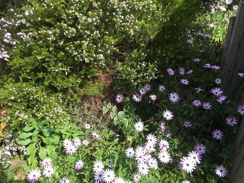 Nest On A Crest - Darwin Holiday 21