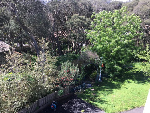 Nest On A Crest - Darwin Holiday 1