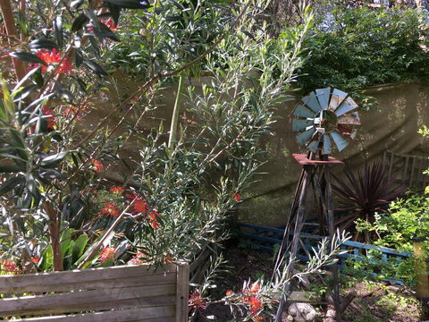 Nest On A Crest - Darwin Holiday 29