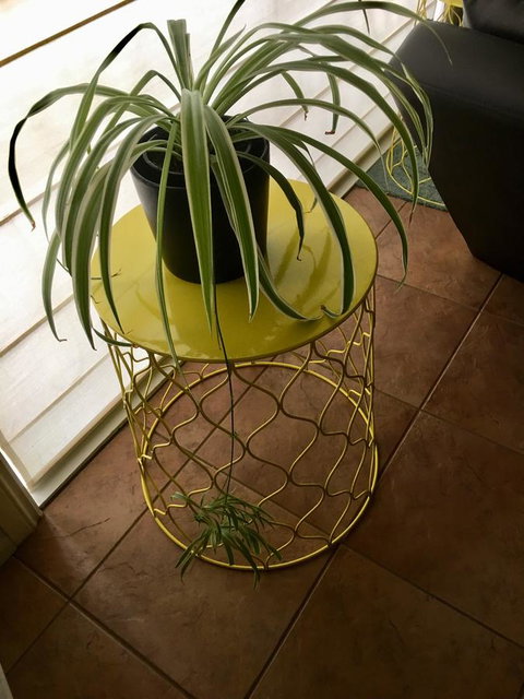 Nest On A Crest - Darwin Holiday 5