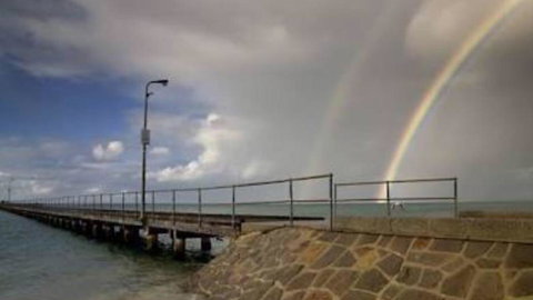 Nest On A Crest - Darwin Holiday 41