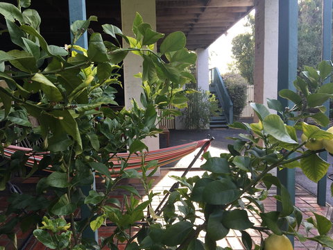 Nest On A Crest - Darwin Holiday 30