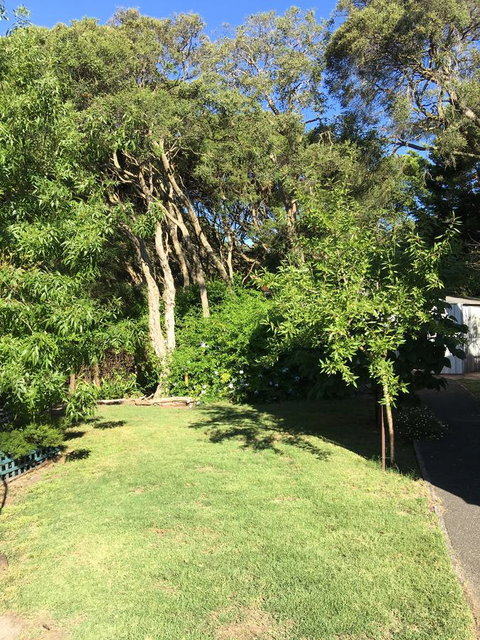 Nest On A Crest - Darwin Holiday 35