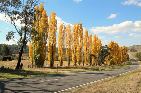3 Bells Alpine Cottage - Darwin Holiday 20
