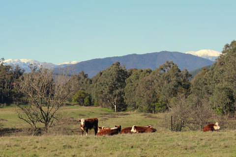 3 Bells Alpine Cottage - Darwin Holiday 21
