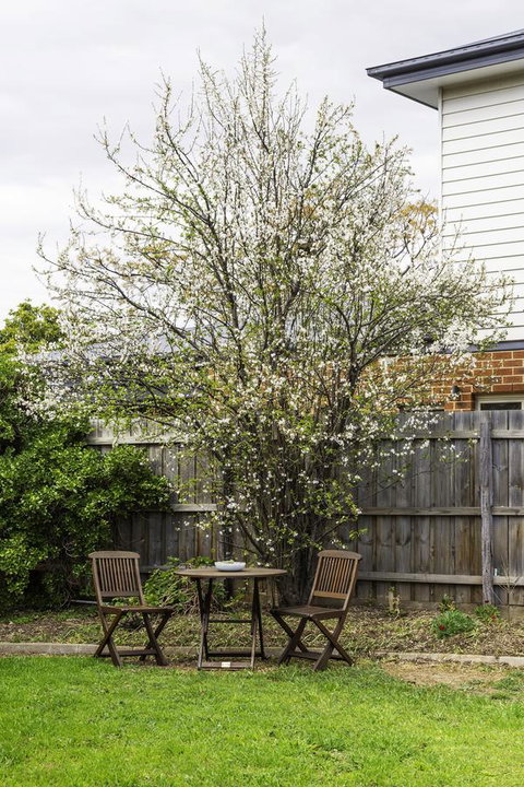 Bacchus Centro - Darwin Holiday 9