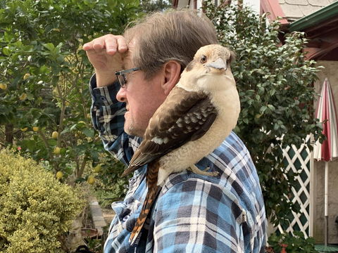 Swan Cove Beachfront - Darwin Holiday 4