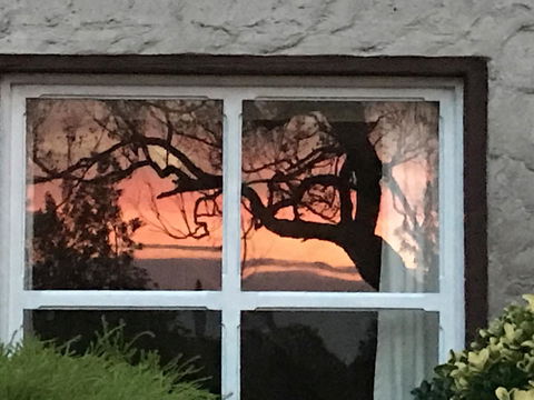 Swan Cove Beachfront - Darwin Holiday 13