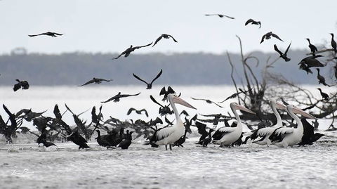 Swan Cove Beachfront - Darwin Holiday 1
