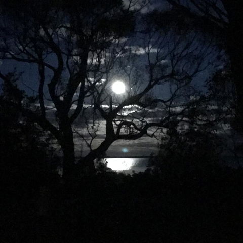 Swan Cove Beachfront - Darwin Holiday 12