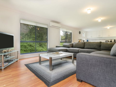 Demure Charm - Darwin Holiday 10