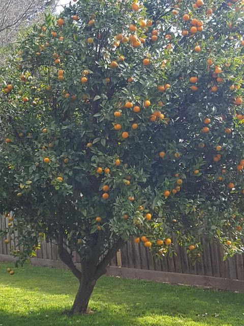 Juliet House - Darwin Holiday 21