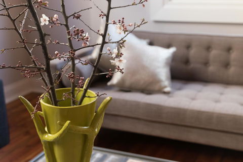 The Old Mechanics - Darwin Holiday 6