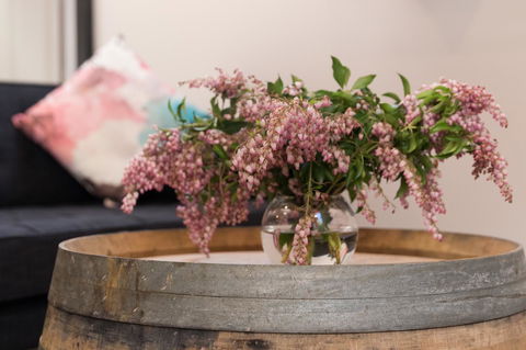 The Old Mechanics - Darwin Holiday 13