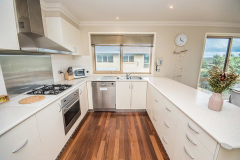 The Pitch - Darwin Holiday 7