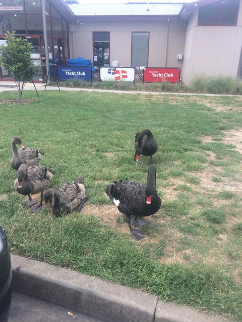 Ambassador Motor Inn - Darwin Holiday 29