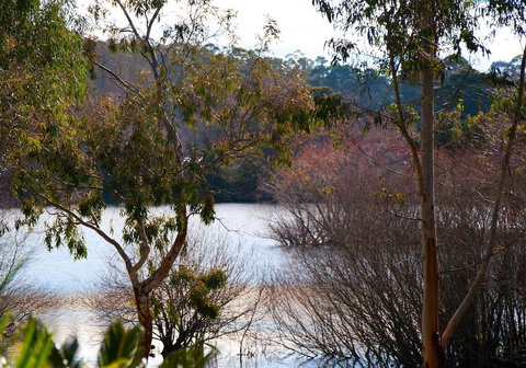 Lake Como Villa - Darwin Holiday 10