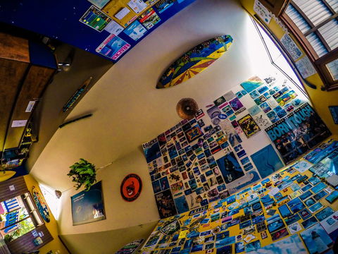 Cool Bananas Backpackers - Darwin Holiday 29