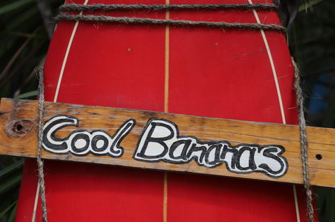 Cool Bananas Backpackers - Darwin Holiday 41