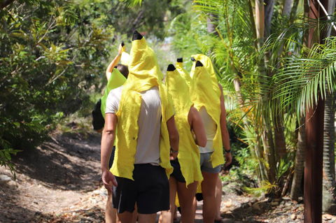 Cool Bananas Backpackers - Darwin Holiday 19