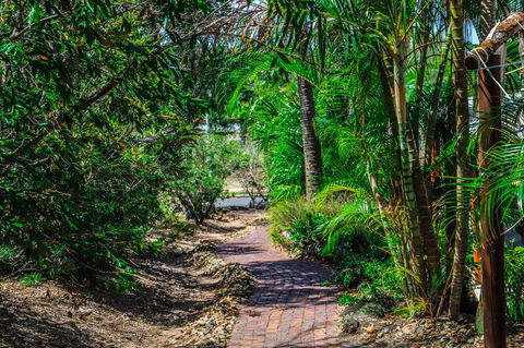 Cool Bananas Backpackers - Darwin Holiday 15