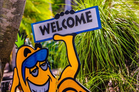 Cool Bananas Backpackers - Darwin Holiday 37