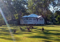 Book Peregian Beach Accommodation Vacations Darwin Holiday Darwin Holiday