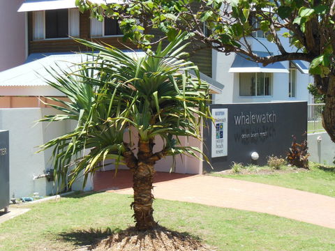 Whale Watch Ocean Beach Resort - Darwin Holiday 15
