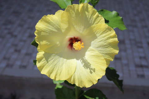 Amaroo On Mandalay, Magnetic Island - Darwin Holiday 43