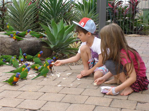 Island Leisure Resort - Darwin Holiday 25