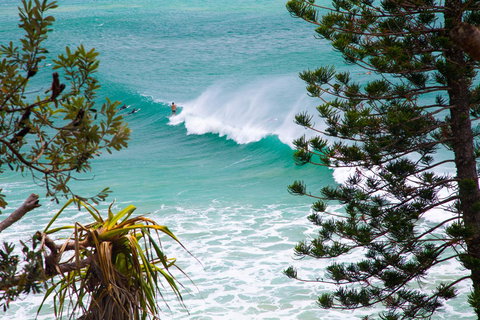 Rainbow Bay Backpackers - Darwin Holiday 15