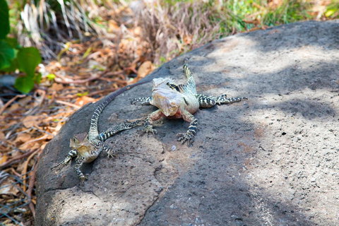 Rainbow Bay Backpackers - Darwin Holiday 21