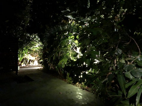 Serenity - Darwin Holiday 17