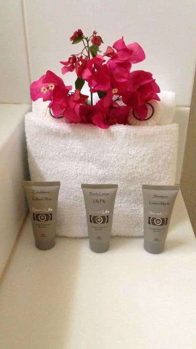 Serenity - Darwin Holiday 11