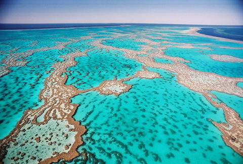 Poinciana 112 - Darwin Holiday 20