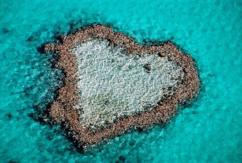 Poinciana 112 - Darwin Holiday 21