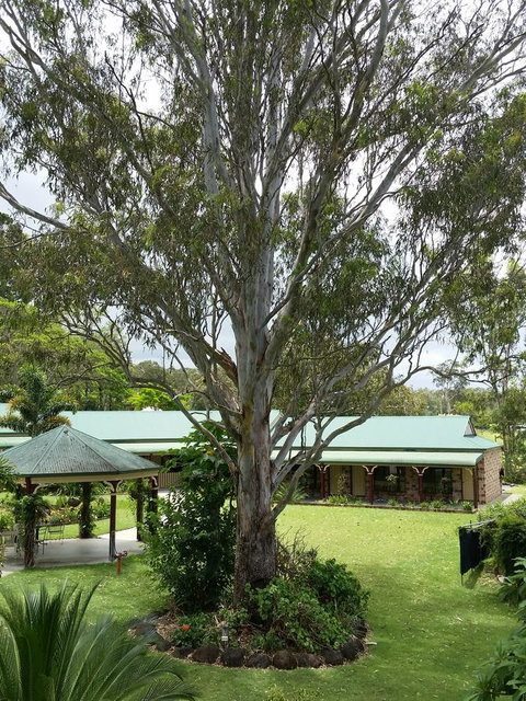 The Bearded Dragon Boutique Hotel - Darwin Holiday 32