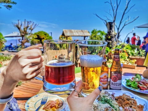 The Polish Place - Darwin Holiday 1