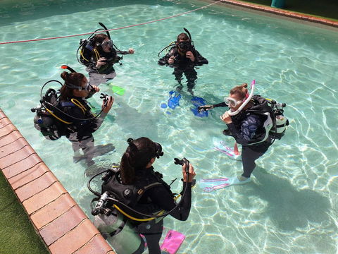 Backpackers In Paradise 18-35 Hostel - Darwin Holiday 18