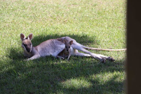 The Hideaway Agnes Water (Adults Only) - Darwin Holiday 42