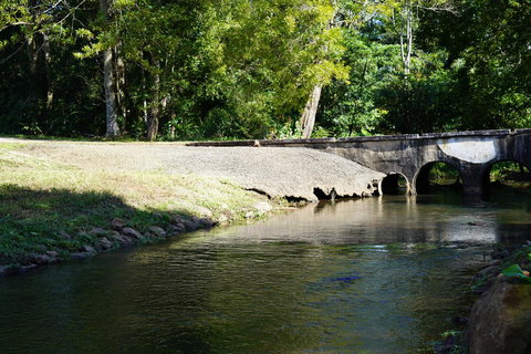 McCarthy Grove Maleny - Darwin Holiday 1